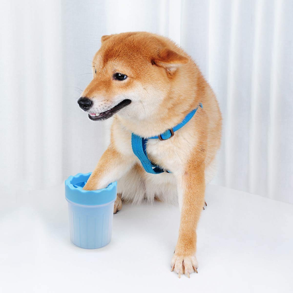 Dog Paw Cleaner Cup | Portable Silicone Paw Washer (Small)